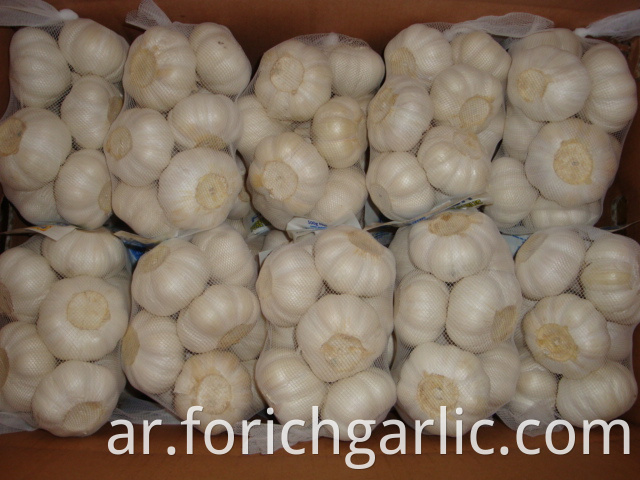 Pure White Garlic